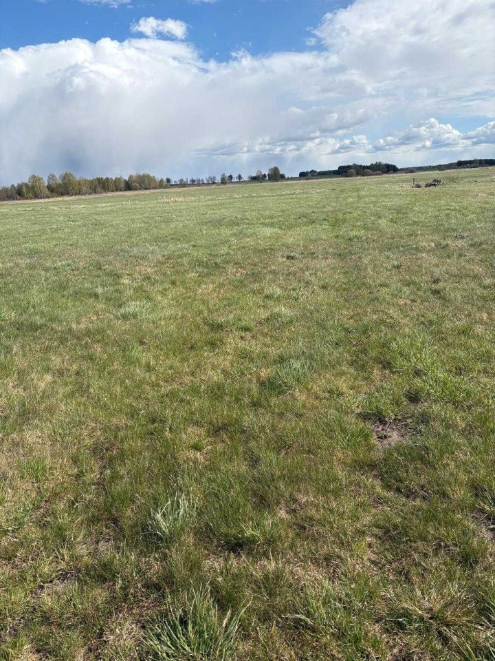 Działka rolna Doratynka. Zdjęcie 6