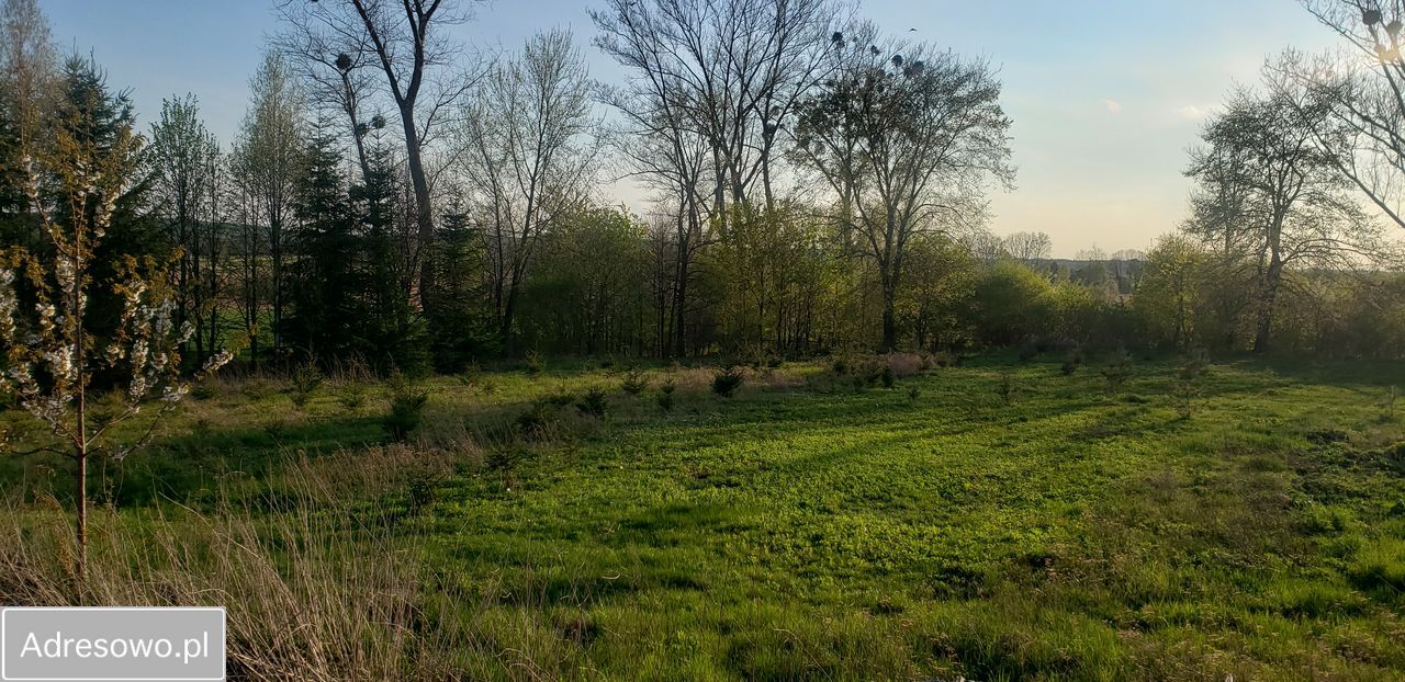 Hala/magazyn Nowy Dwór. Zdjęcie 14