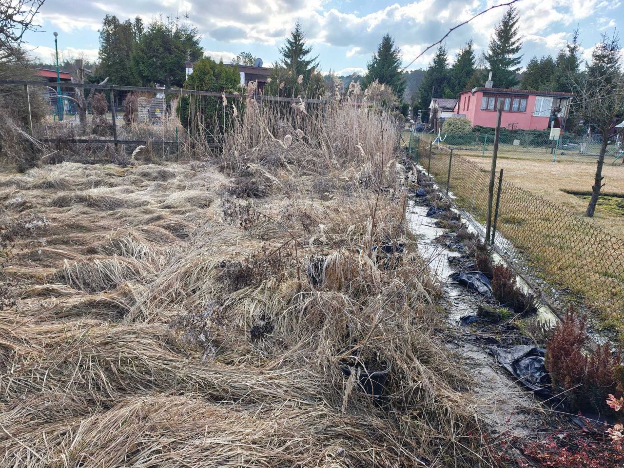 Działka rod Grudziądz, ul. Toruńska. Zdjęcie 8