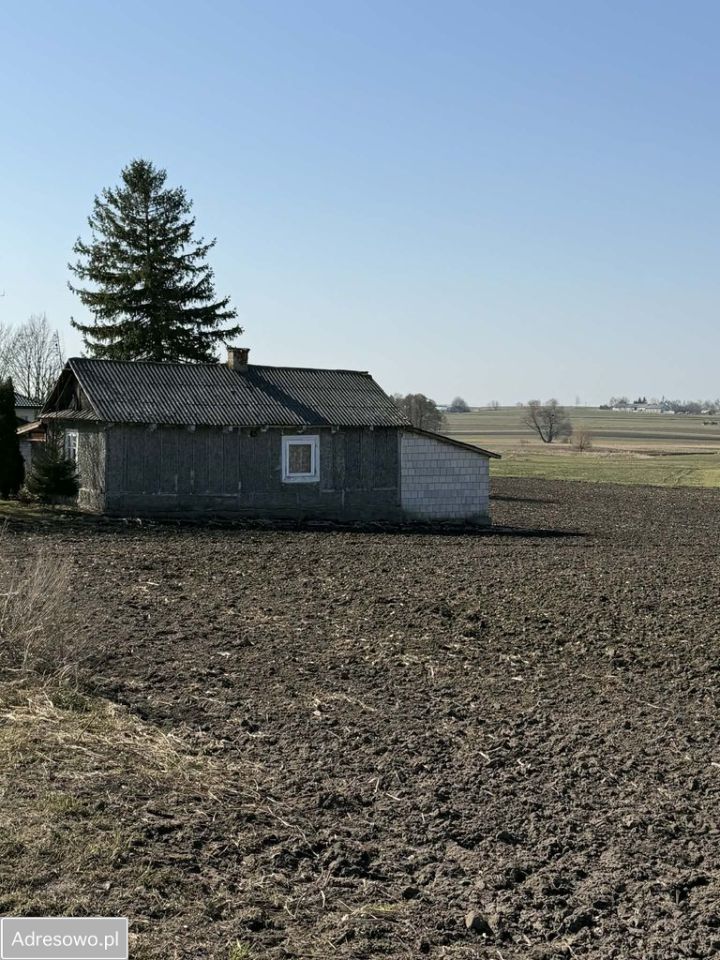 Działka siedliskowa Mojsławice. Zdjęcie 5