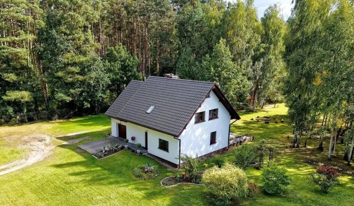 dom wolnostojący, 5 pokoi Czarnowo