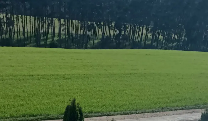 Działka budowlana Obrowo, ul. Leszczynowa