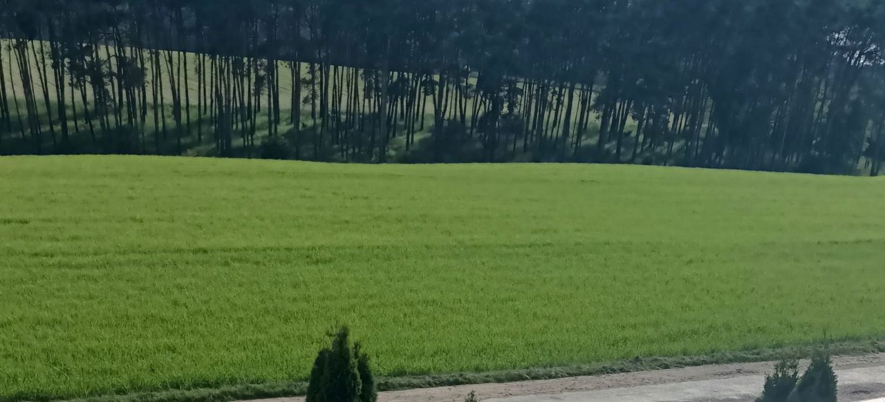 Działka budowlana Obrowo, ul. Leszczynowa