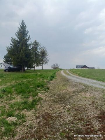 dom, 3 pokoje Ustrobna. Zdjęcie 10