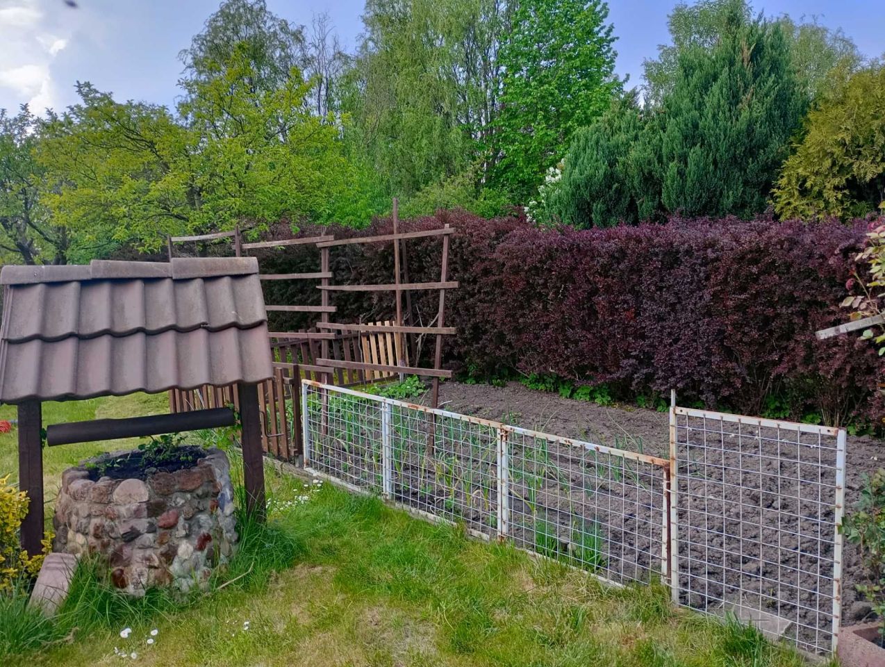 Działka rod Gdańsk Olszynka, ul. Modra. Zdjęcie 7