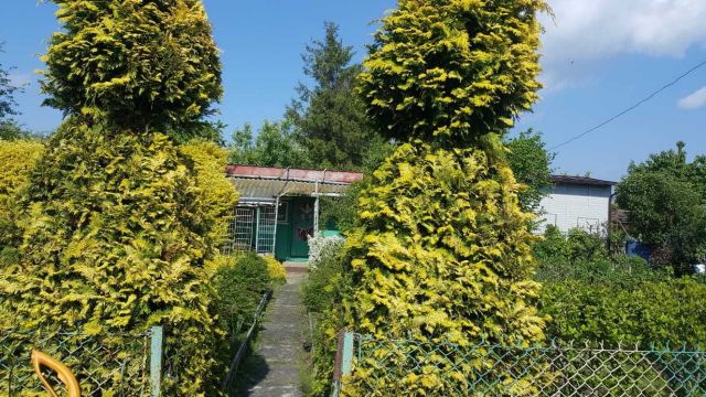 Działka rod Tarnów. Zdjęcie 1