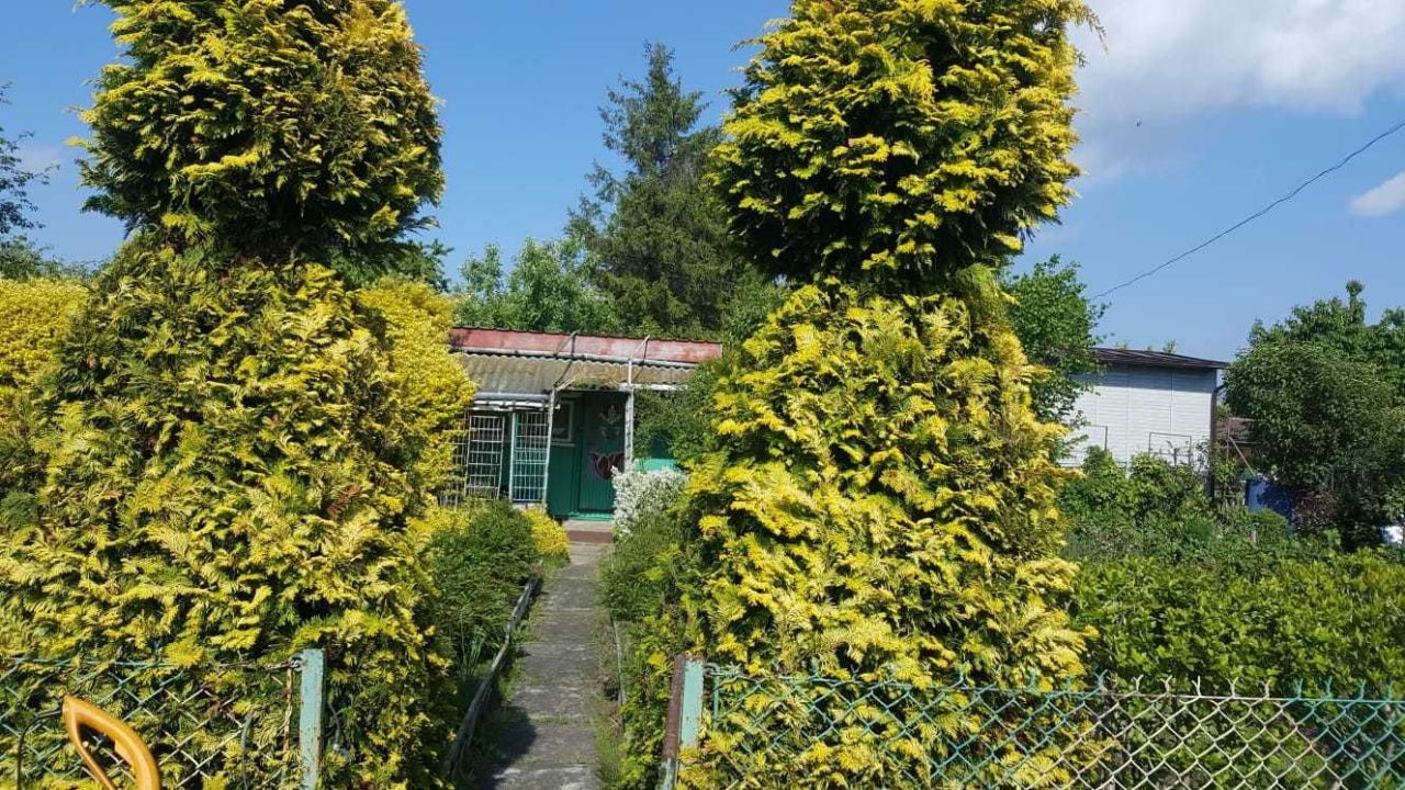 Działka rod Tarnów