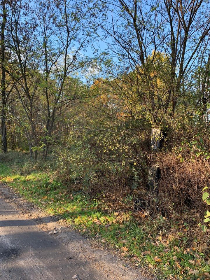 Działka budowlana Grębocin Kolonia Papowska, ul. Okrężna. Zdjęcie 6