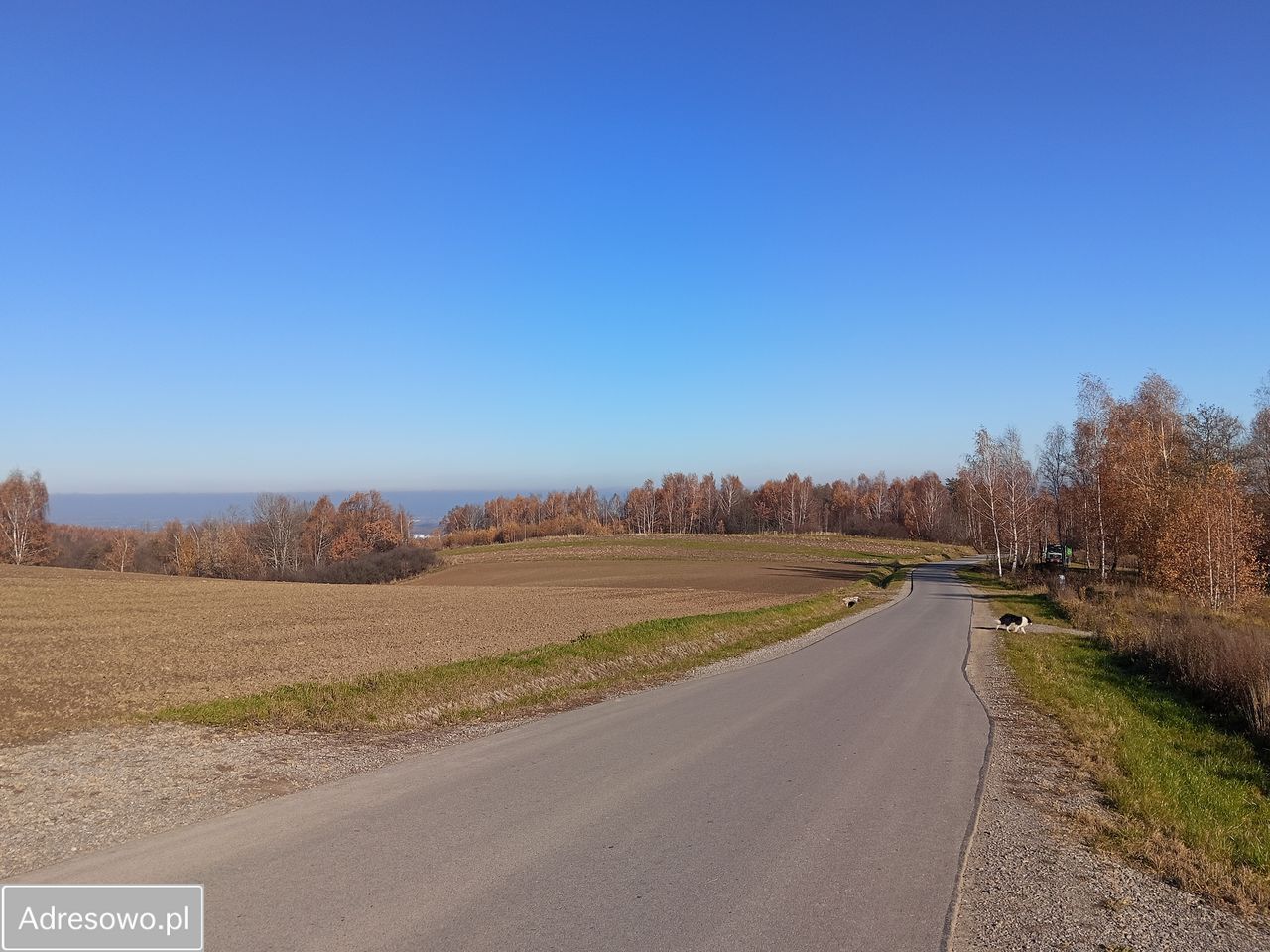 Działka budowlana Malawa. Zdjęcie 4