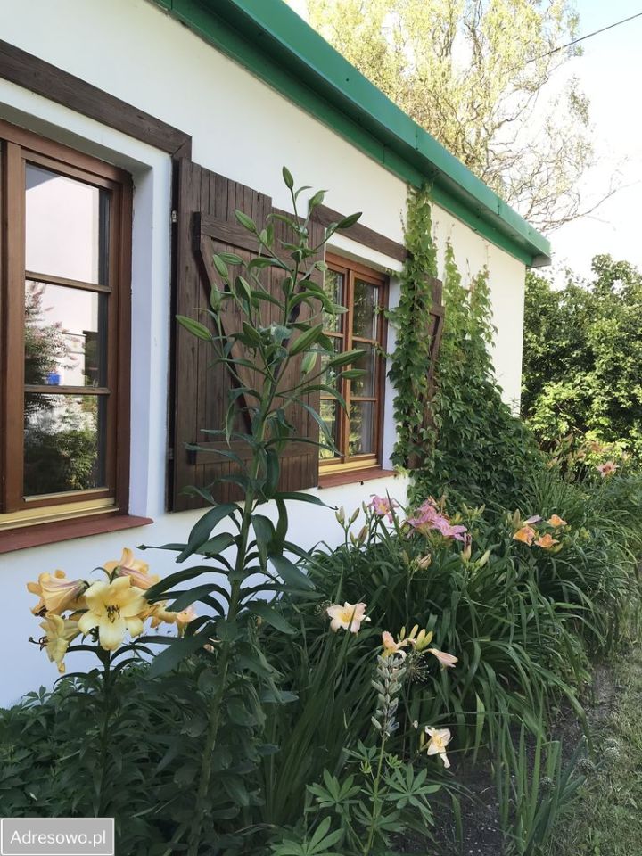 Działka budowlana Nosy-Poniatki. Zdjęcie 6
