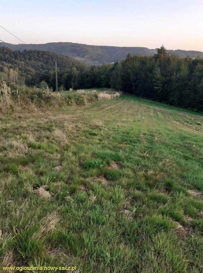 Działka budowlana Bartkowa-Posadowa. Zdjęcie 2