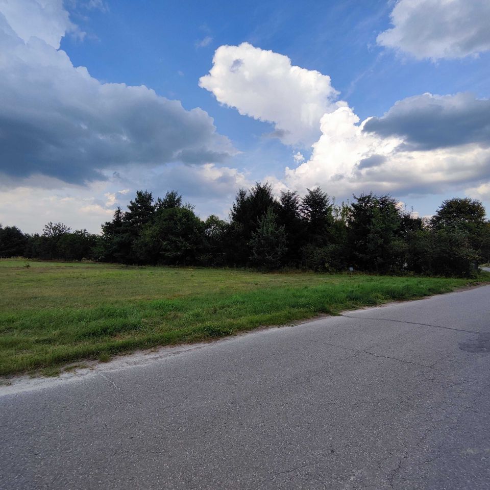 Działka rolno-budowlana Zarzecze. Zdjęcie 6