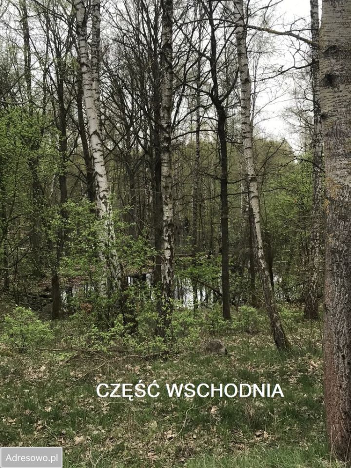 Działka inna Siemczyno. Zdjęcie 6