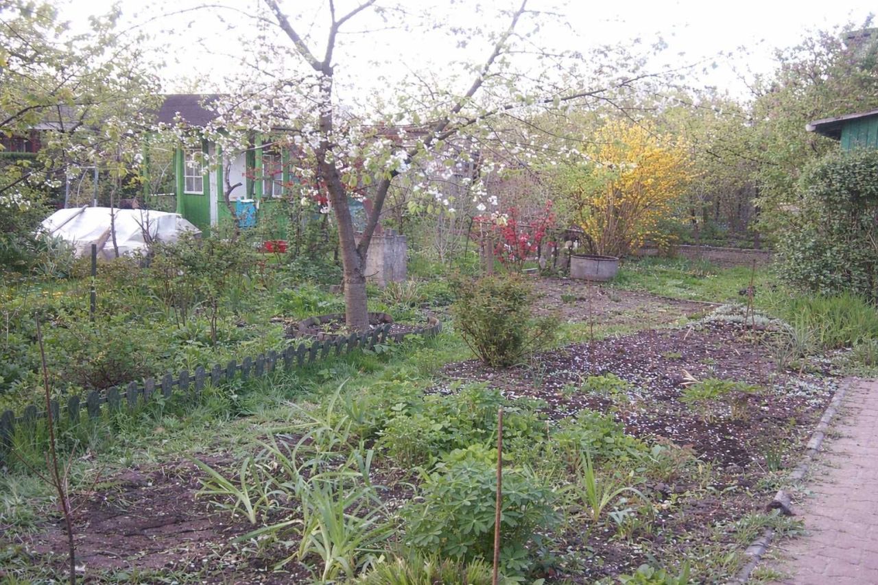 Działka rod Kraków Podgórze, ul. Nowohucka. Zdjęcie 3