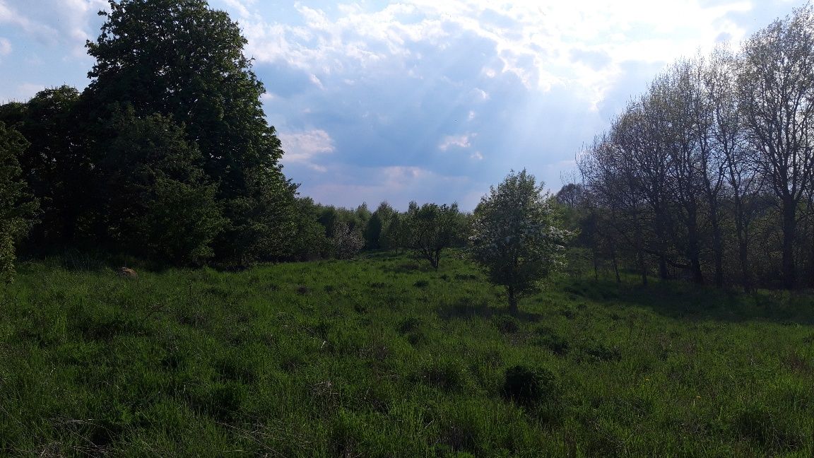 Działka inwestycyjna Liszkowo. Zdjęcie 4