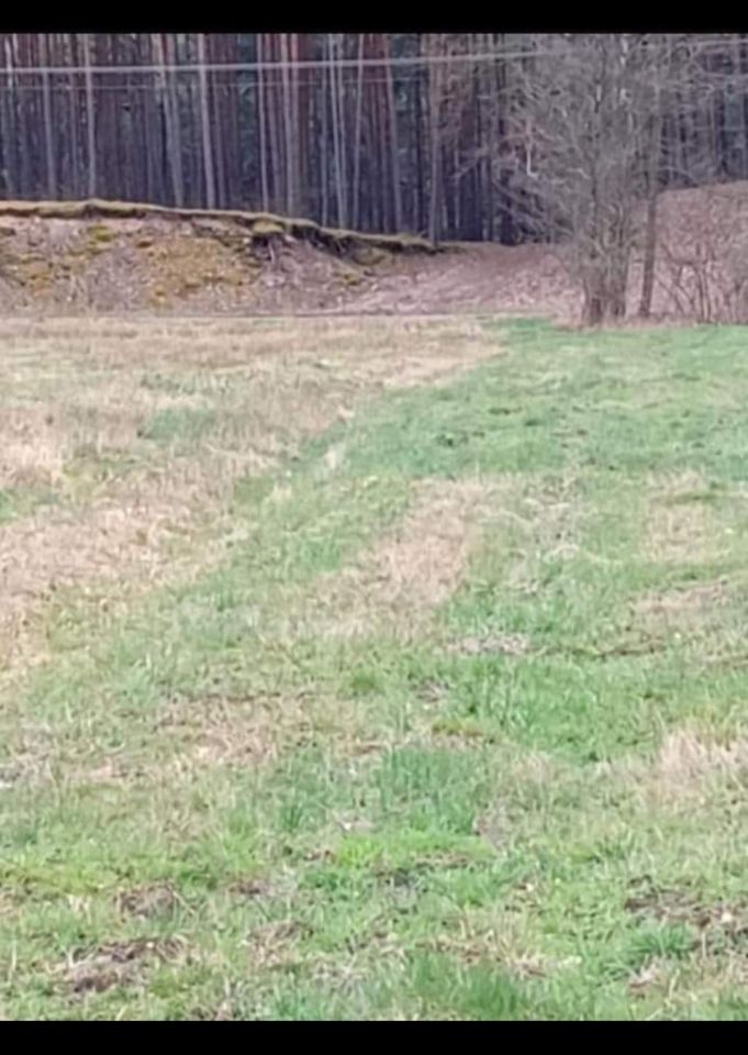 Działka rolno-budowlana Brzuza. Zdjęcie 3