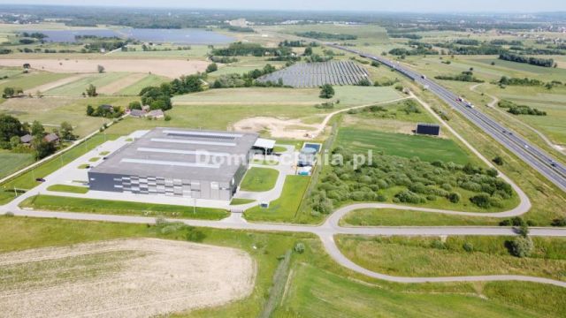 Działka inwestycyjna Krzeczów. Zdjęcie 7