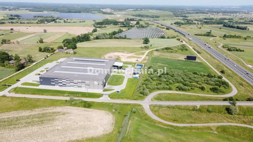 Działka inwestycyjna Krzeczów. Zdjęcie 7