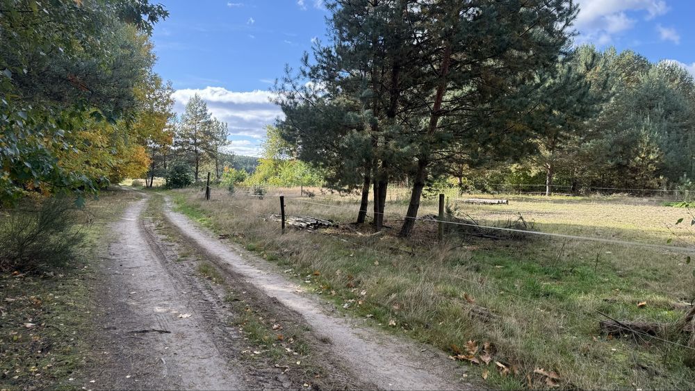 Działka budowlana Miłocice, ul. Leśna. Zdjęcie 4