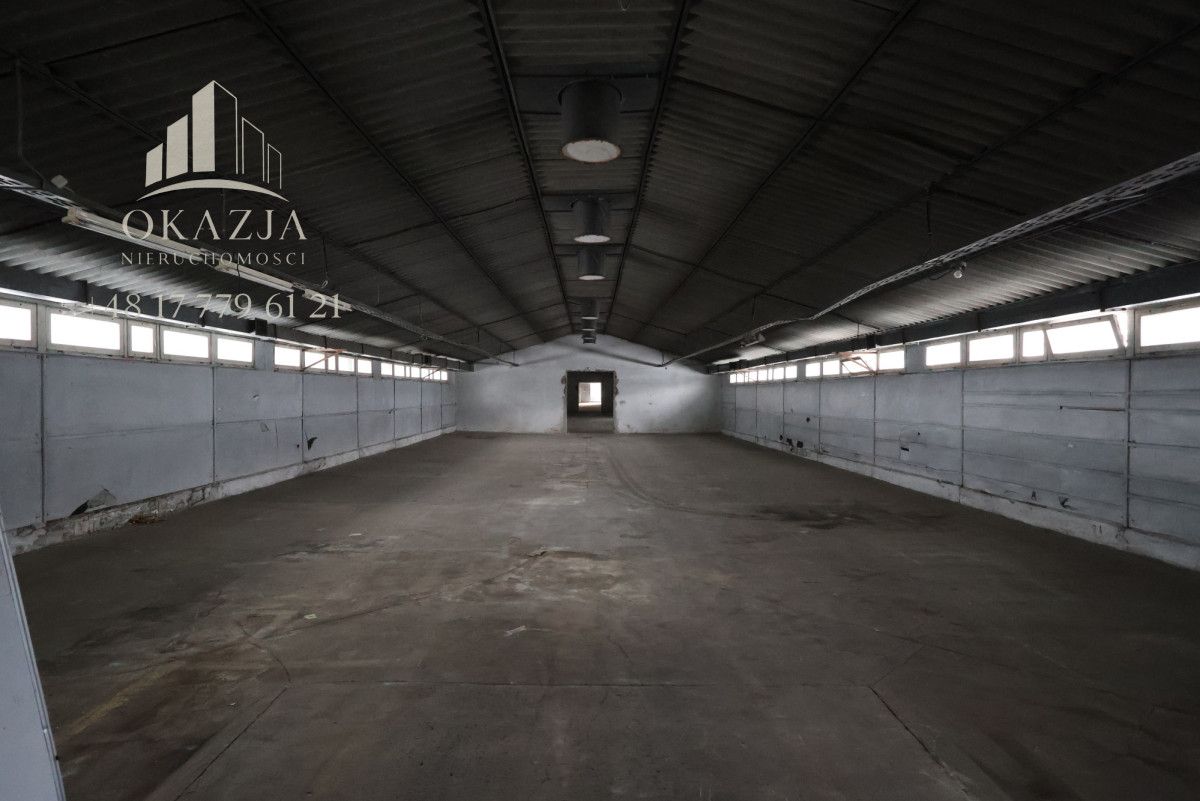 Lokal Wysoka Głogowska. Zdjęcie 14