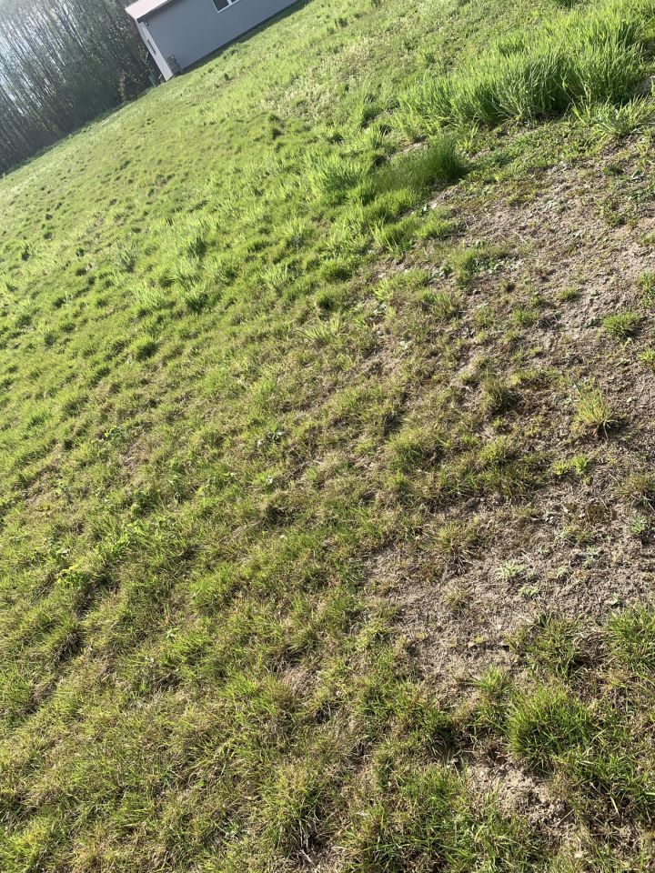 Działka budowlana Pilzno Przymiarki, ul. Tadeusza Kościuszki. Zdjęcie 7