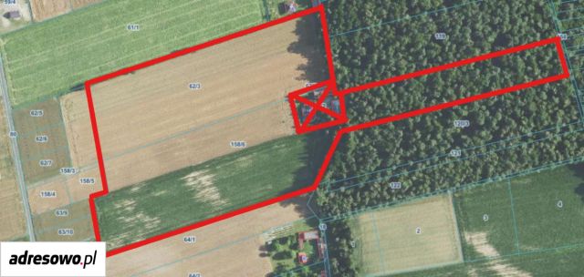 Działka rolna Bychawka Trzecia-Kolonia. Zdjęcie 1