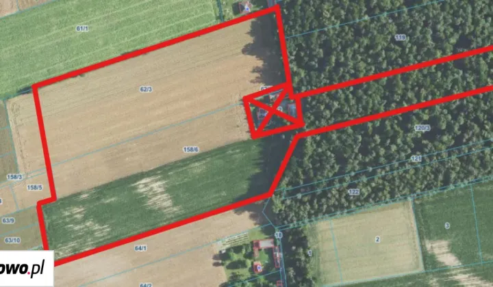 Działka rolna Bychawka Trzecia-Kolonia