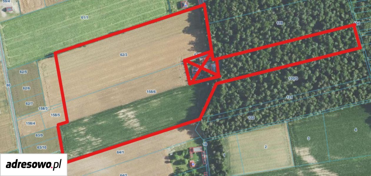 Działka rolna Bychawka Trzecia-Kolonia. Zdjęcie 1