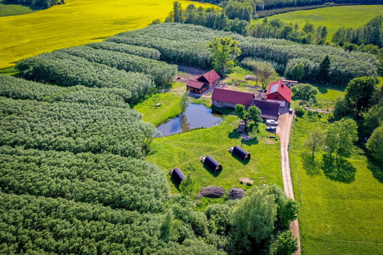 gospodarstwo, 9 pokoi Golubie Wężewskie. Zdjęcie 3