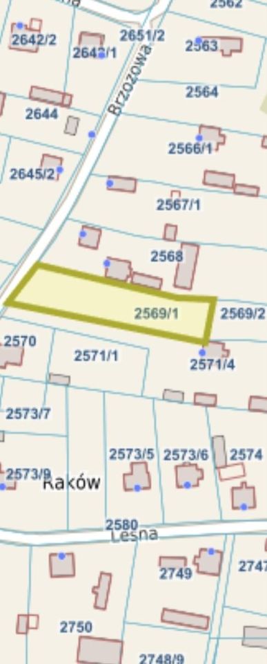 Działka budowlana Ostrowy nad Okszą Raków, ul. Częstochowska. Zdjęcie 2