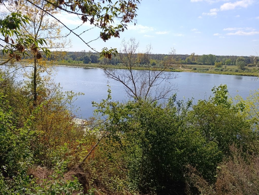 Działka budowlana Stare Orzechowo. Zdjęcie 3