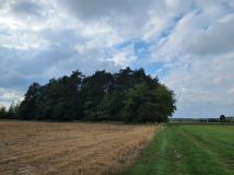 Działka leśna Grodziec