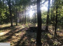 Działka budowlana Żelechów, ul. Pieńkowa. Zdjęcie 2