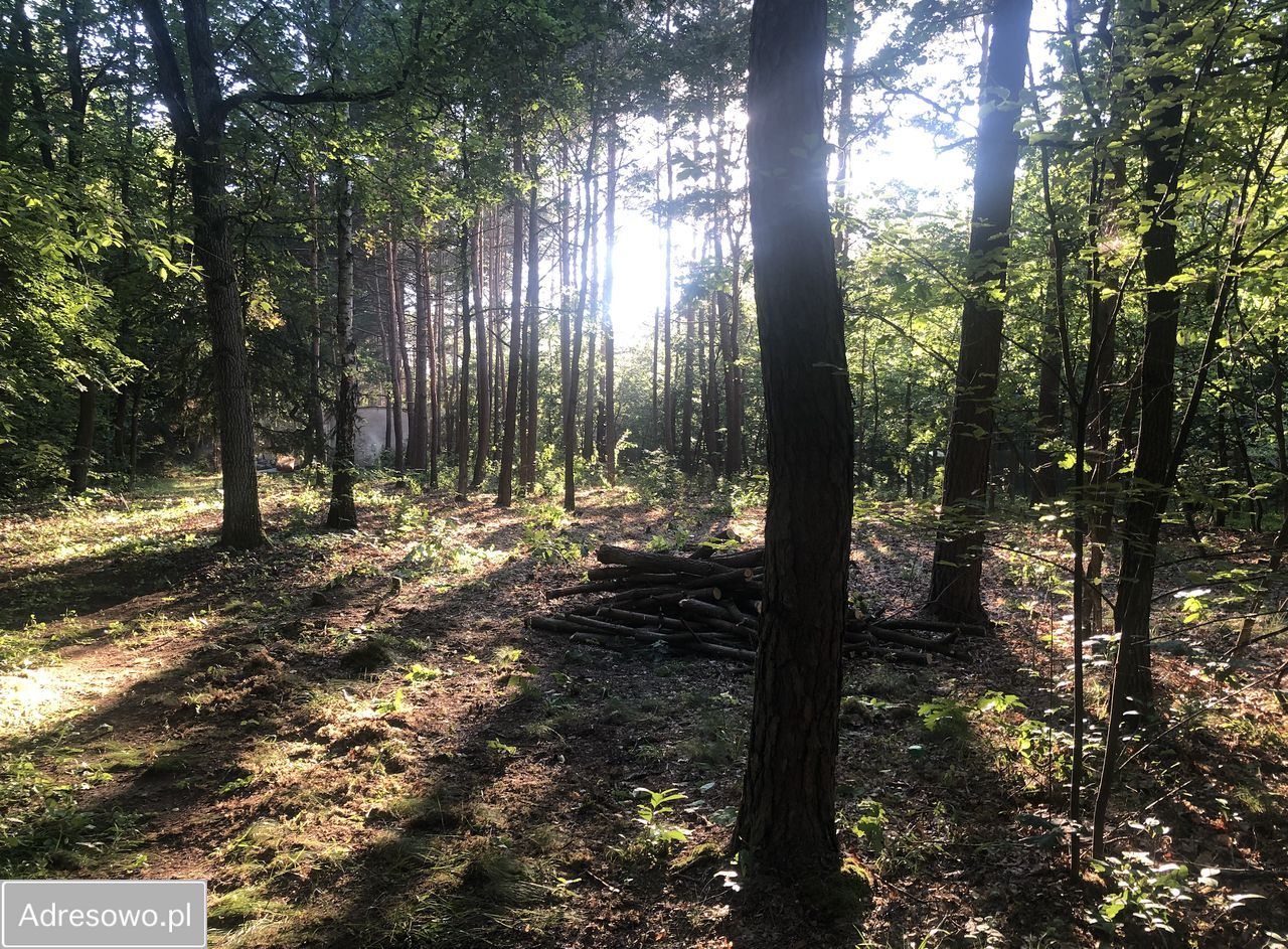 Działka budowlana Żelechów, ul. Pieńkowa. Zdjęcie 3