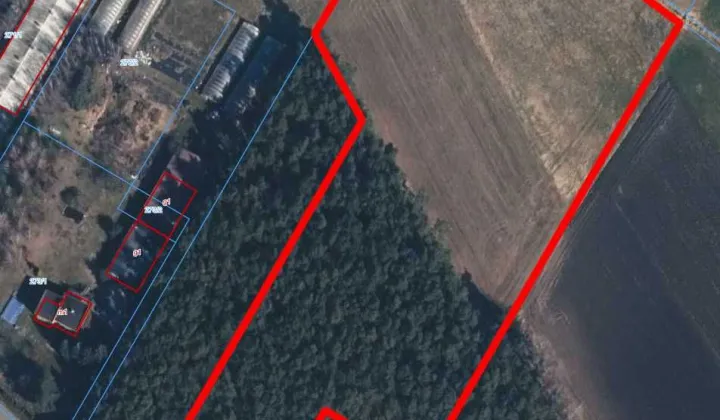 Działka rolna Rąbczyn