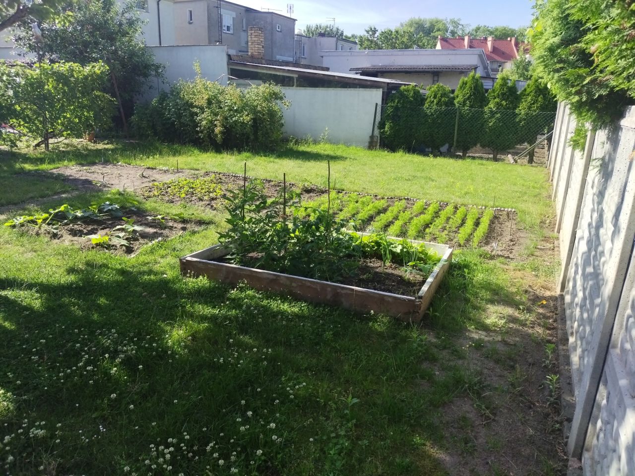 dom wolnostojący, 5 pokoi Sulechów, ul. Dąbrowskiego. Zdjęcie 3