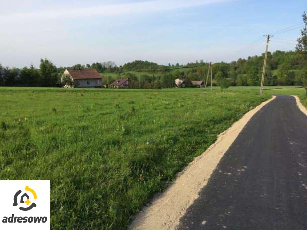 Działka budowlana Sosnowice. Zdjęcie 1
