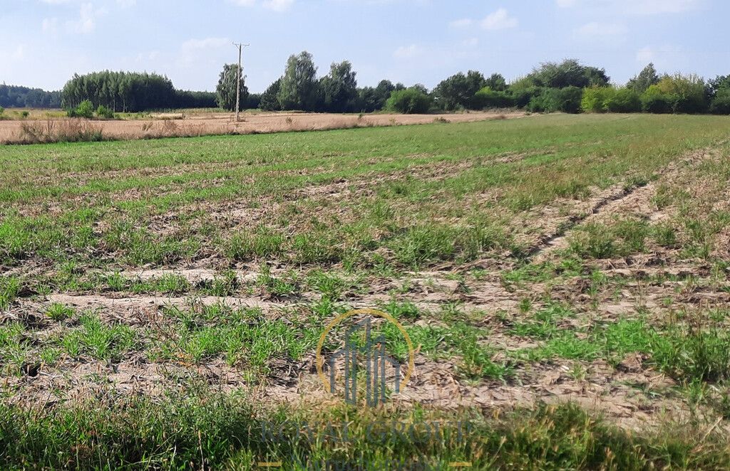 Działka rolna Rudno. Zdjęcie 7