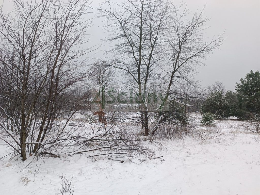 Działka budowlana Warszawa Wawer, ul. Krokusów. Zdjęcie 6