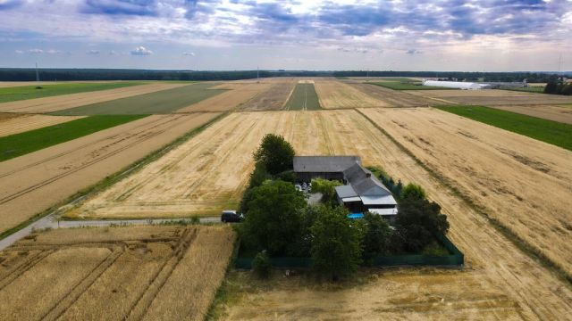Działka budowlana Wierzchowiska Wierzchowiska Pierwsze. Zdjęcie 10