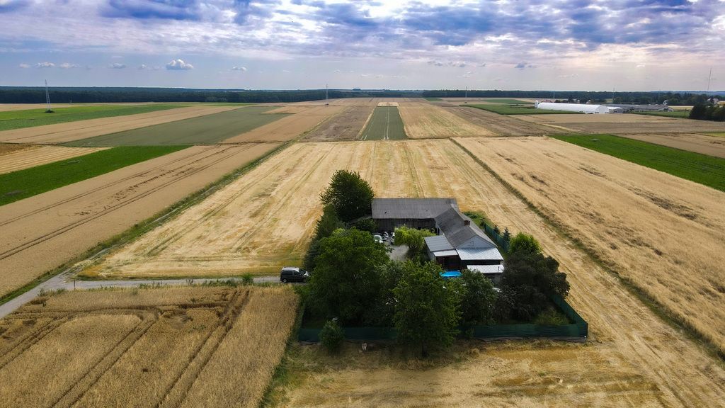 Działka budowlana Wierzchowiska Wierzchowiska Pierwsze. Zdjęcie 10