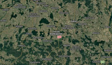 Nieruchomość komercyjna na sprzedaż bez pośredników 
 
 ul. Długa 
 
 Droszew - Widok 5
