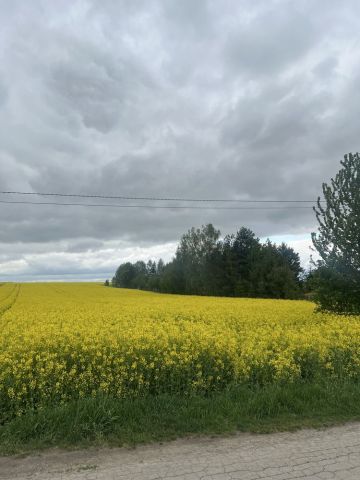 Działka budowlana Tomaszówka. Zdjęcie 1
