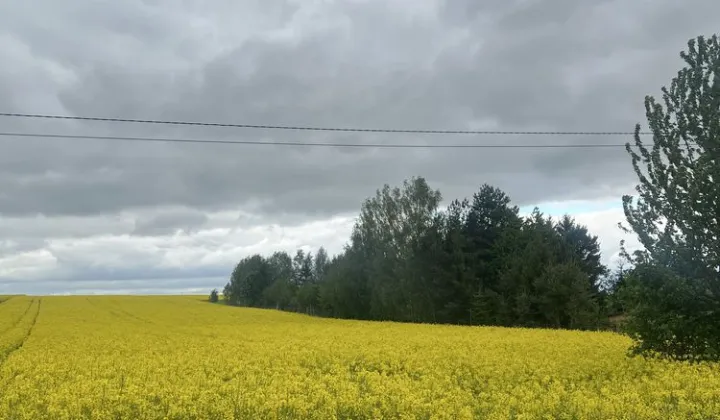 Działka budowlana Tomaszówka