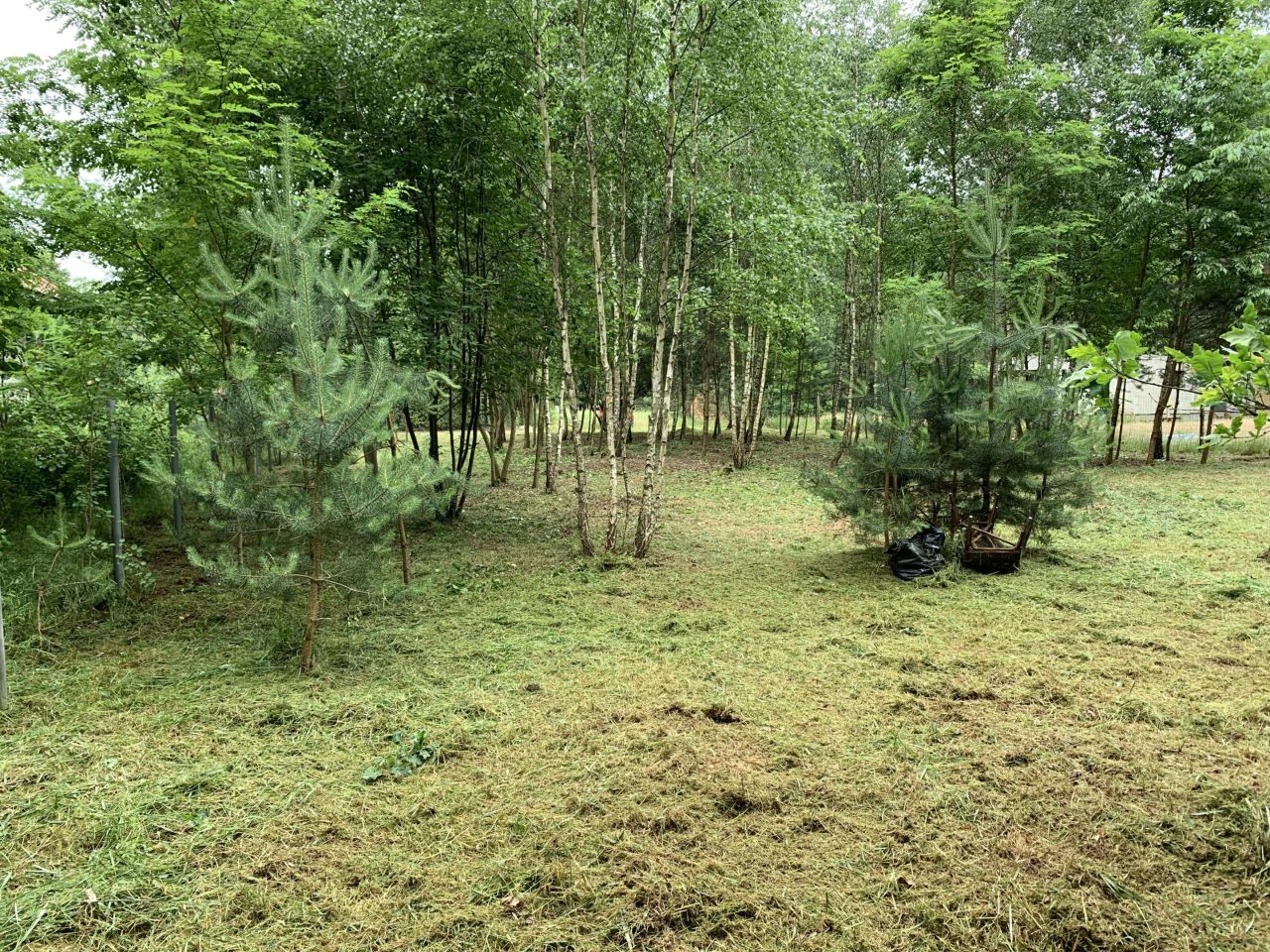 Działka budowlana Osieczek