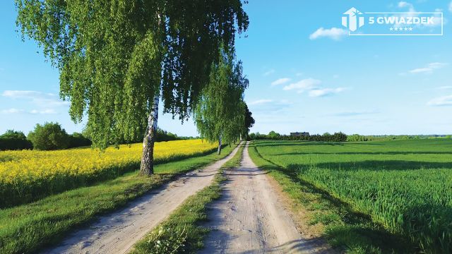 Działka budowlana Dziki. Zdjęcie 2