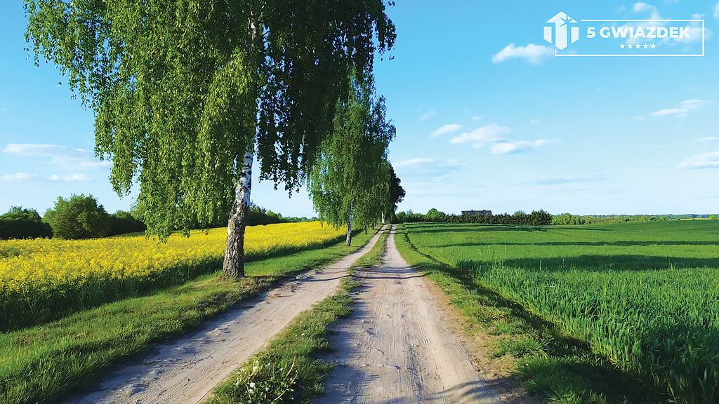 Działka budowlana Dziki. Zdjęcie 2