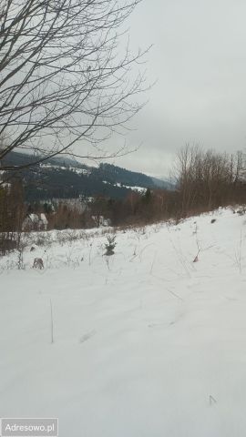 Działka rolna Złatna. Zdjęcie 1