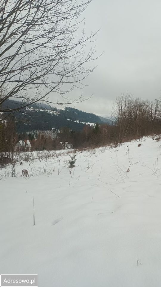 Działka rolna Złatna. Zdjęcie 1