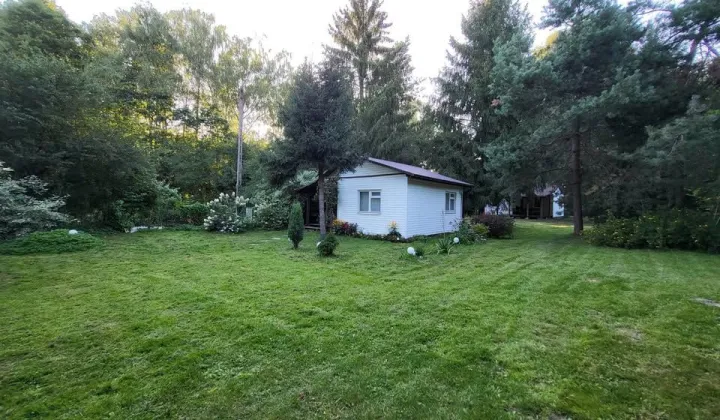 Działka rekreacyjna Okuninka